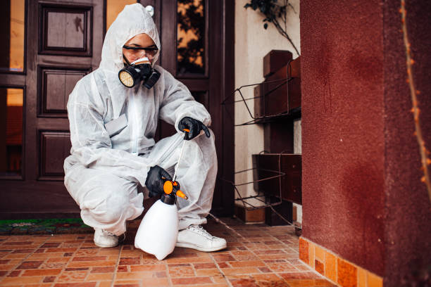 Reliable Cockroach Control contractor in Las Cruces, NM by Nex Pest Control